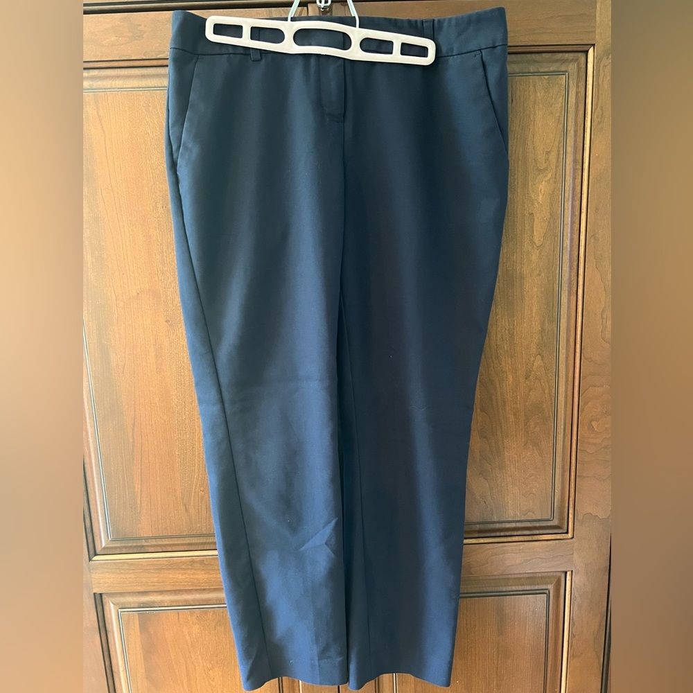 Express Columnist navy blue pant